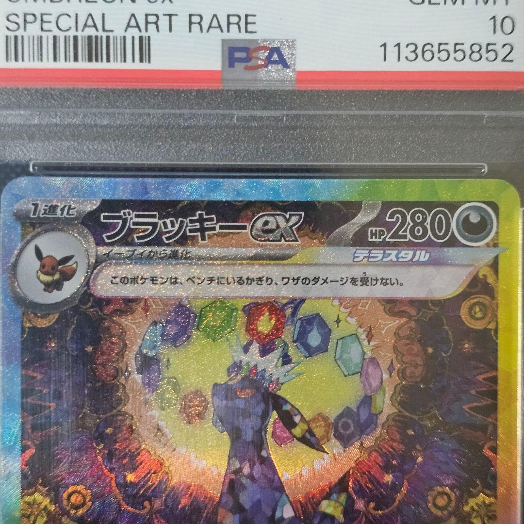 ブラッキー SAR 2024テラスタルフェスex PSA10