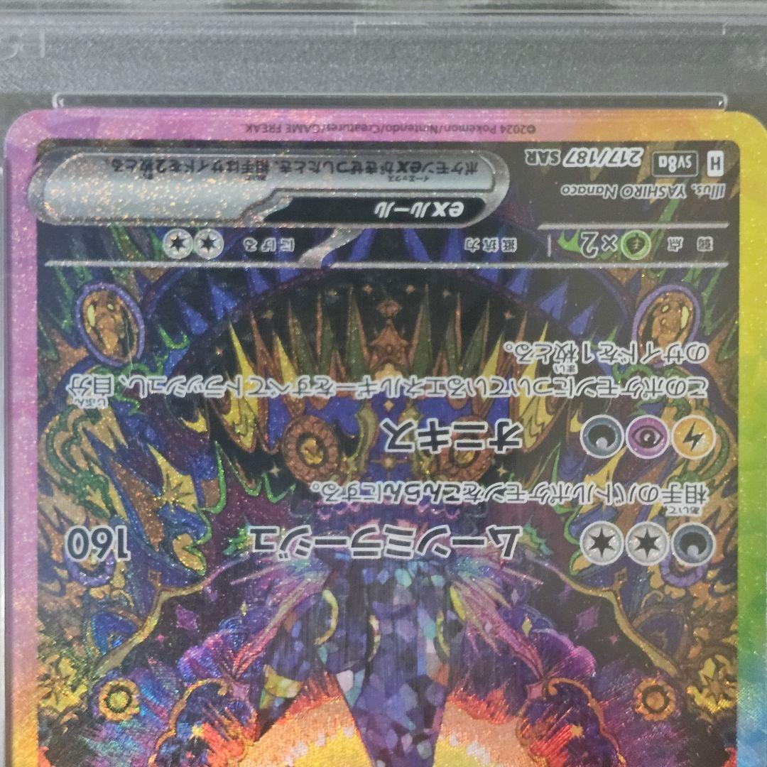 ブラッキー SAR 2024テラスタルフェスex PSA10