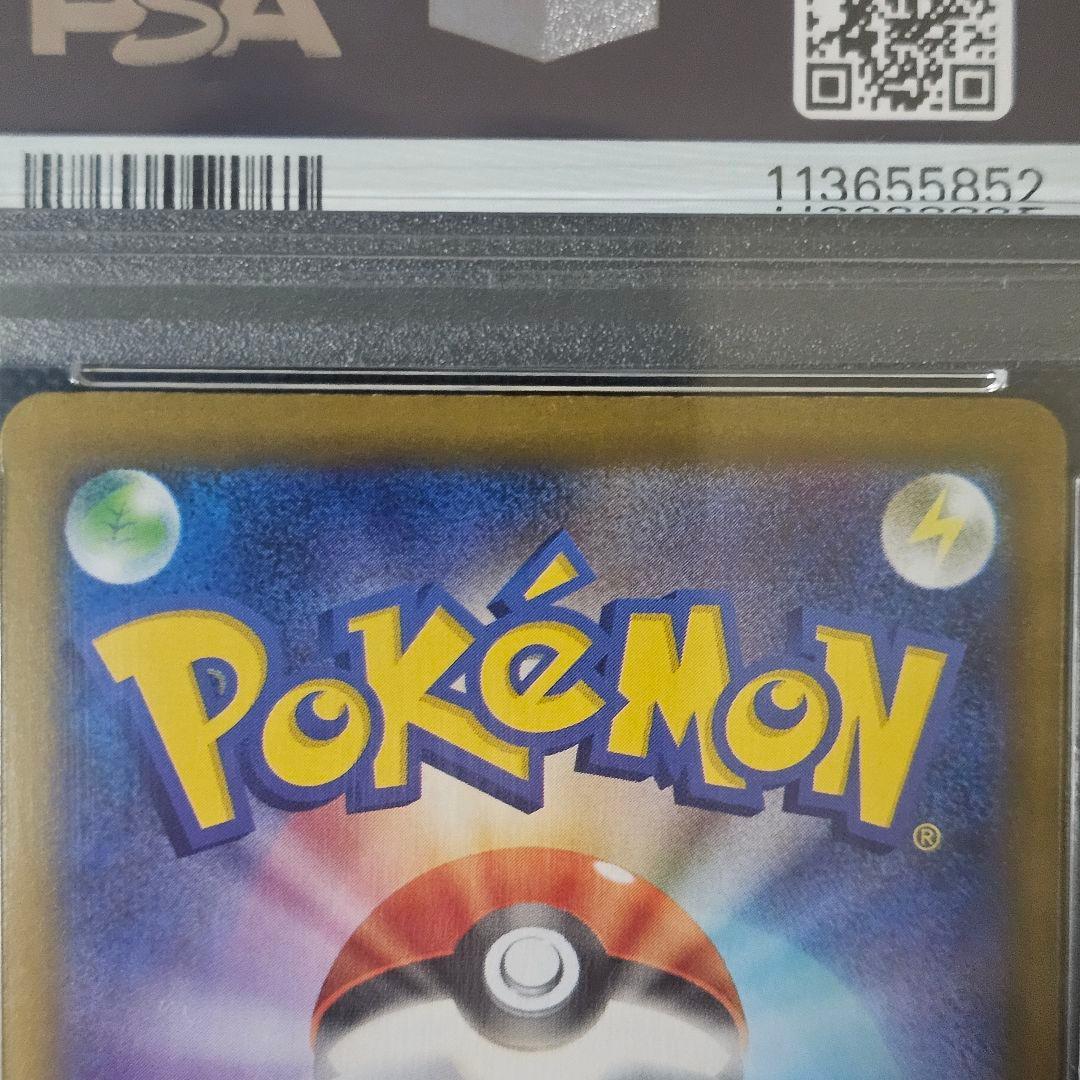 ブラッキー SAR 2024テラスタルフェスex PSA10