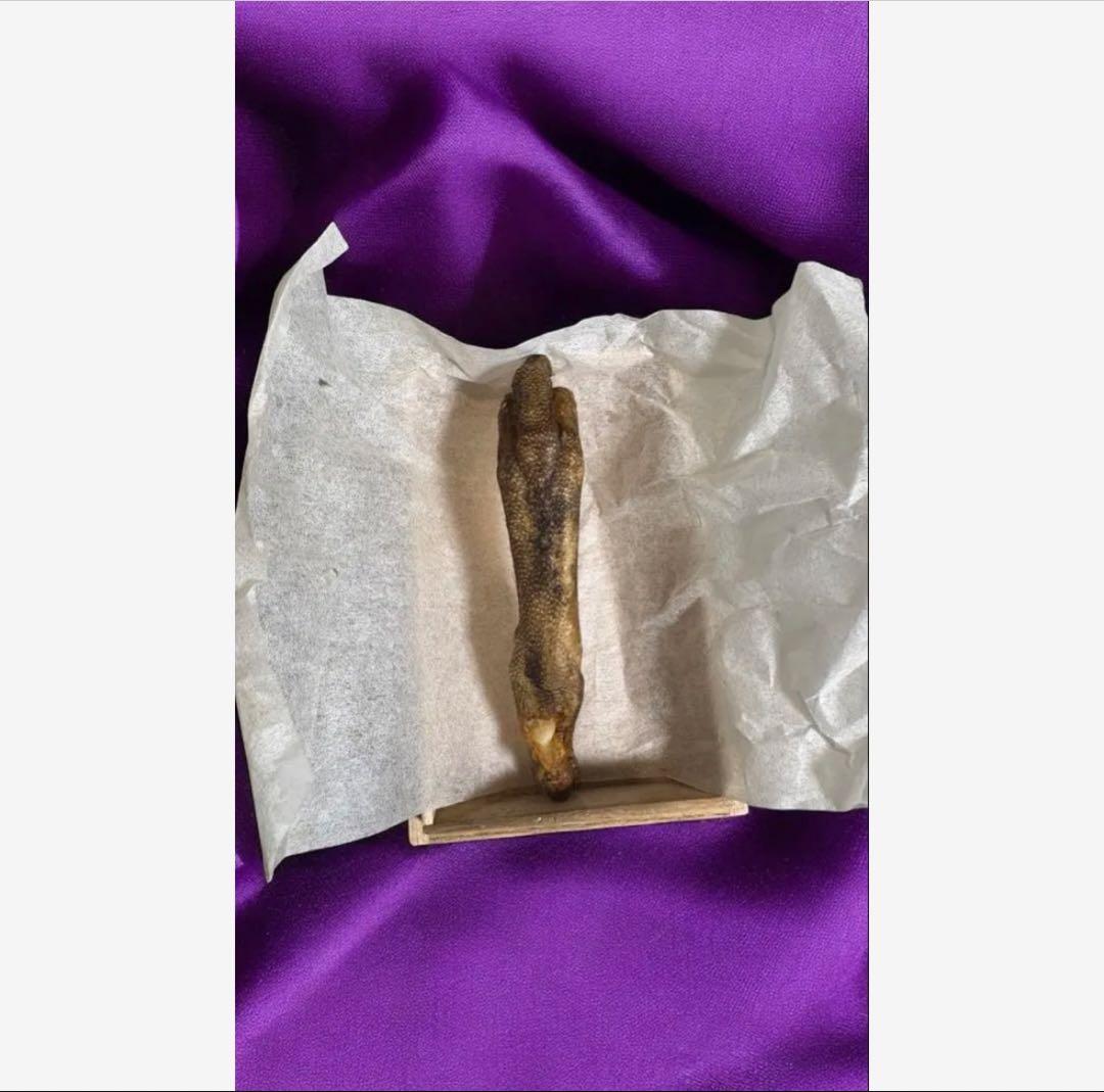 河童の手　ミイラ　曰く付き　金運　龍神　護符　心願成就　霊氣　考古学　呪物