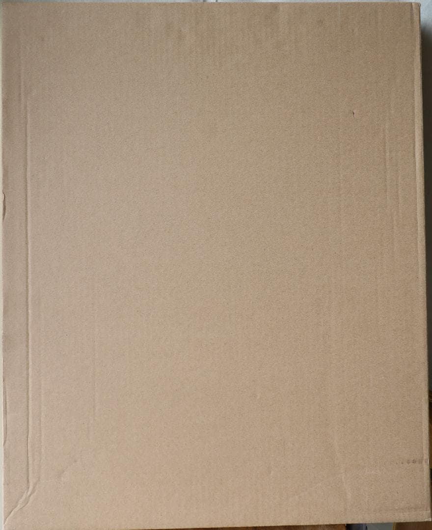 【真作】『をみなえし』 油彩 2020年作 F4 日展作家#舞妓 #祇園 #京都