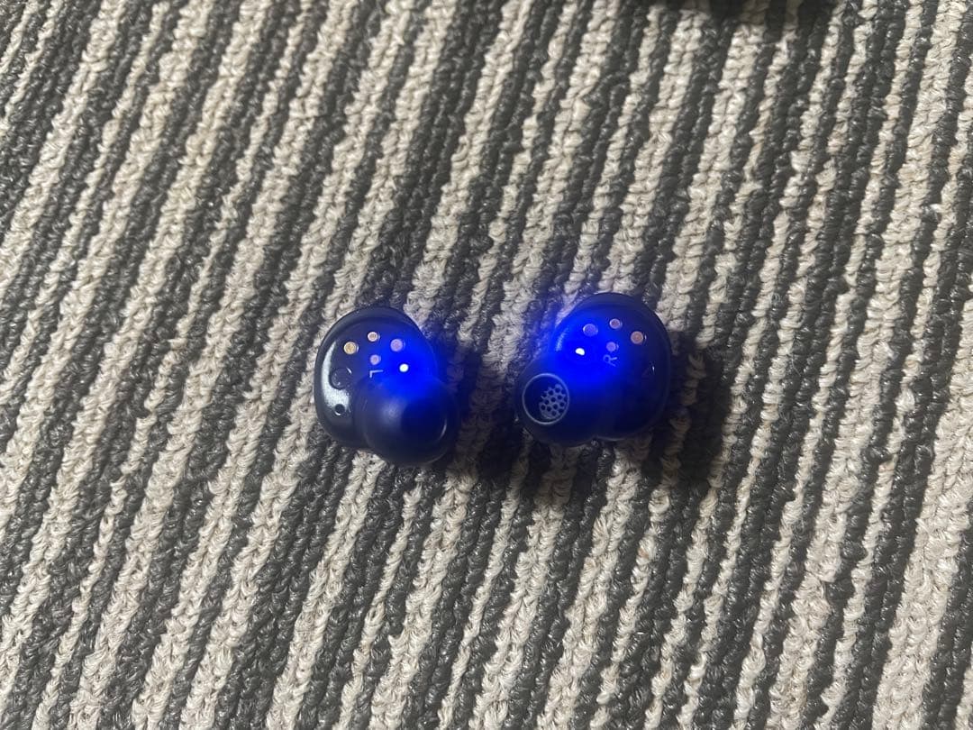 Sennheiser Momentum True Wireless 4 ジャンク