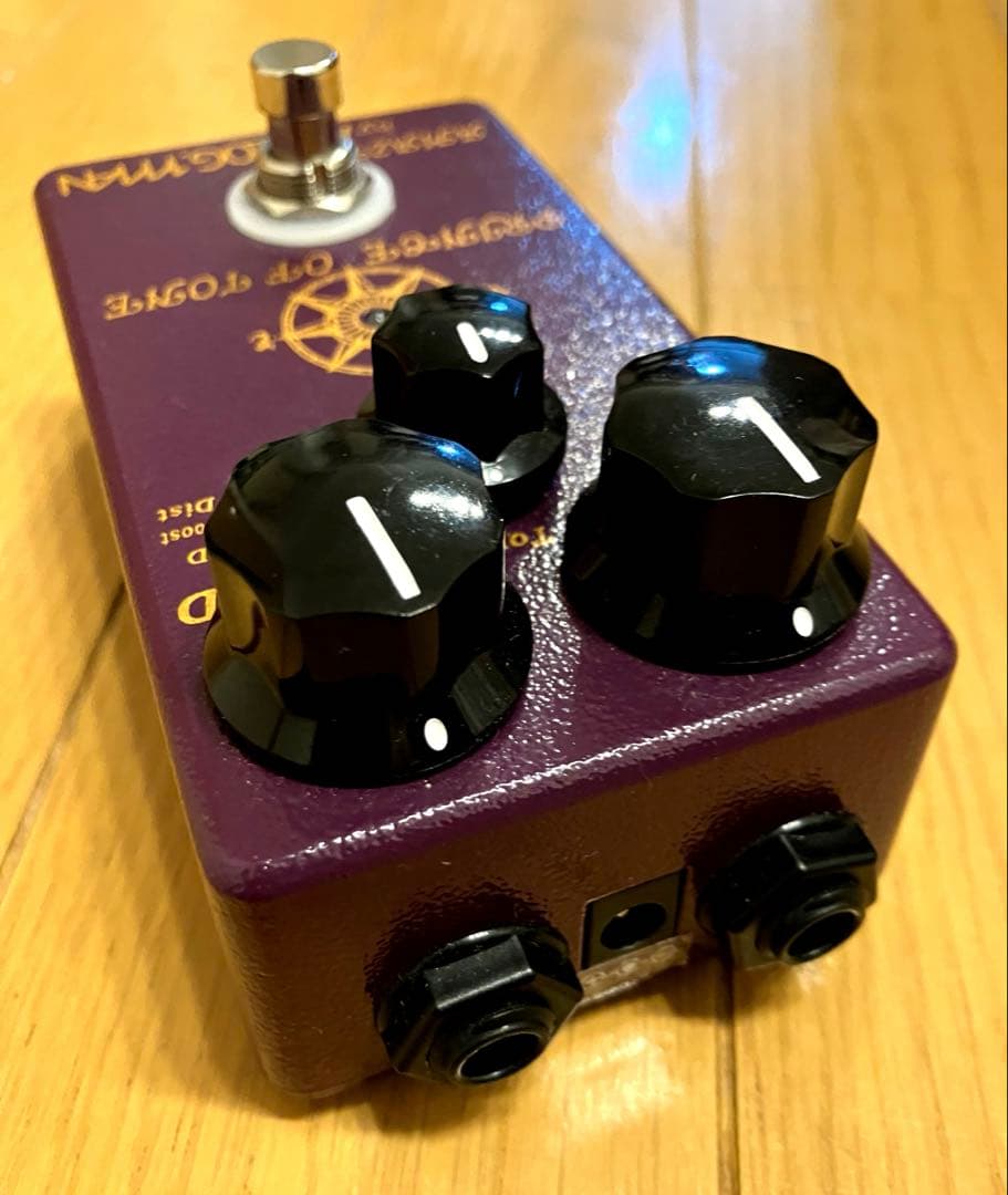 ギター ANAROG.MAN PRINCE OF TONE