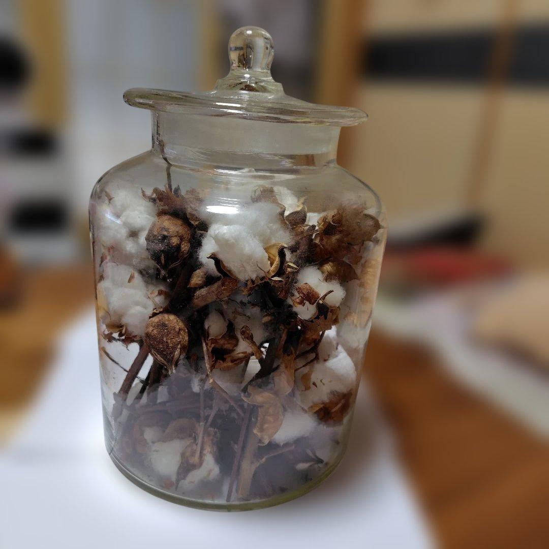 ガラスケースレトロ　保存ガラス　陳列ガラス