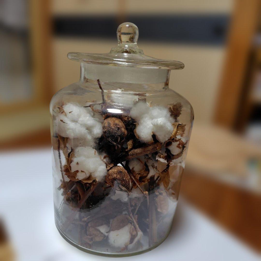 ガラスケースレトロ　保存ガラス　陳列ガラス