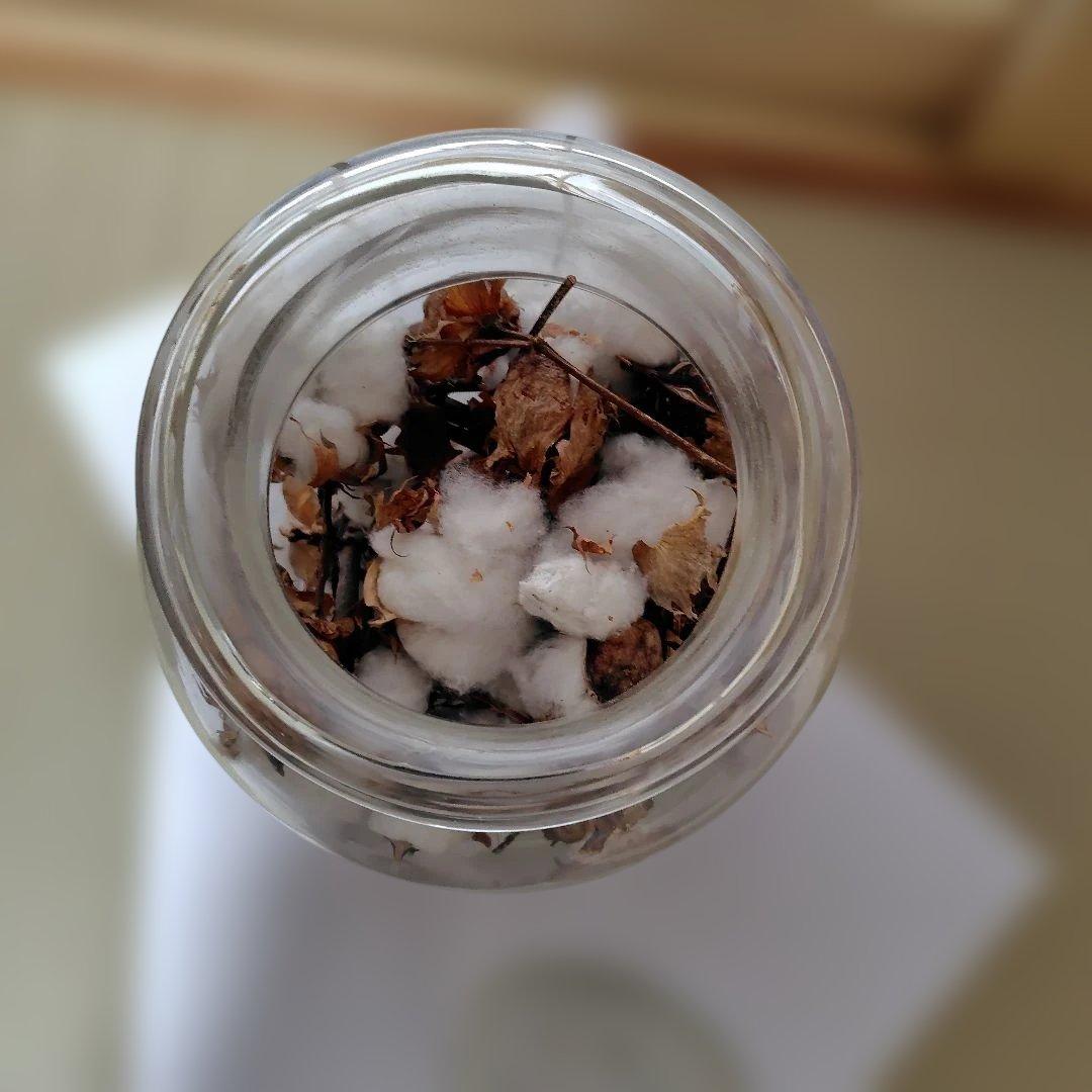 ガラスケースレトロ　保存ガラス　陳列ガラス