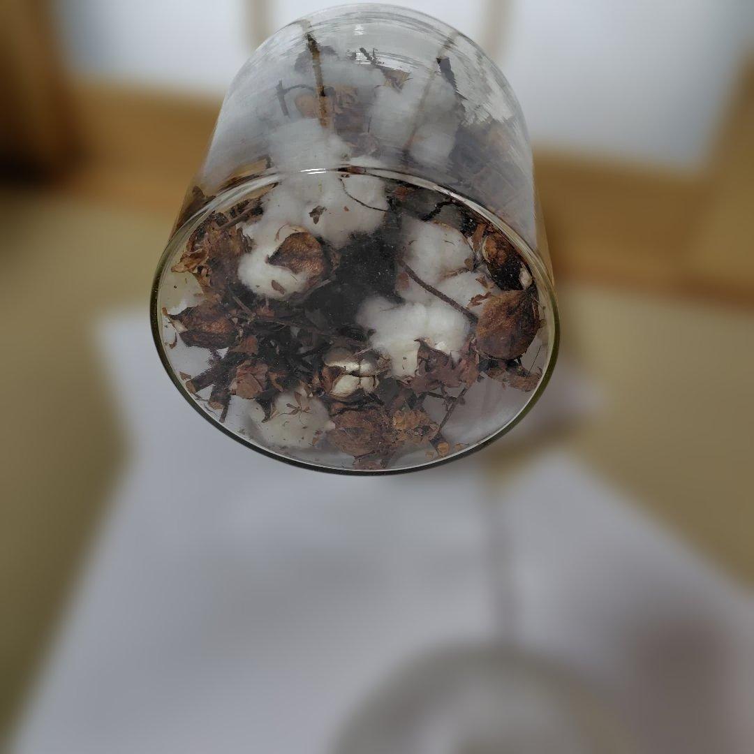 ガラスケースレトロ　保存ガラス　陳列ガラス