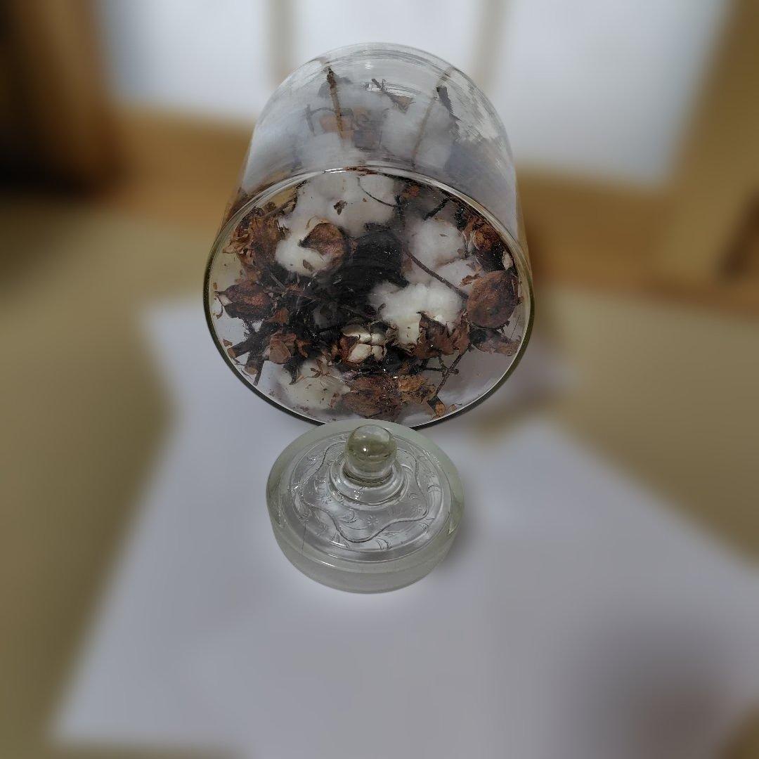 ガラスケースレトロ　保存ガラス　陳列ガラス