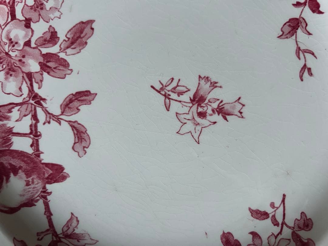 【大きめ】　プレート　小鳥　桜　sarreguemines favori