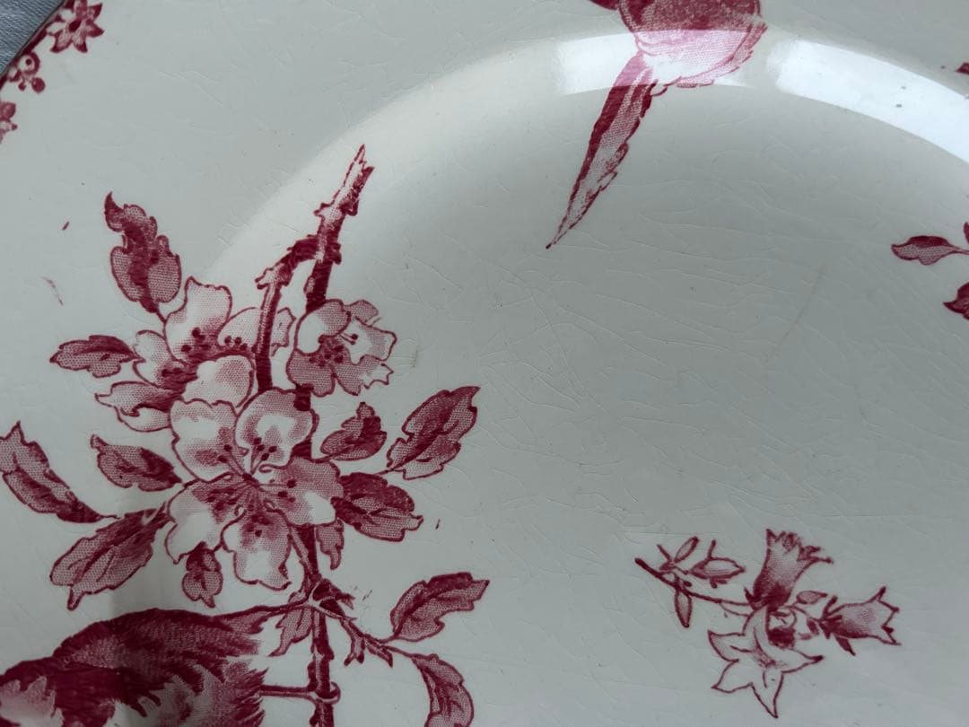 【大きめ】　プレート　小鳥　桜　sarreguemines favori