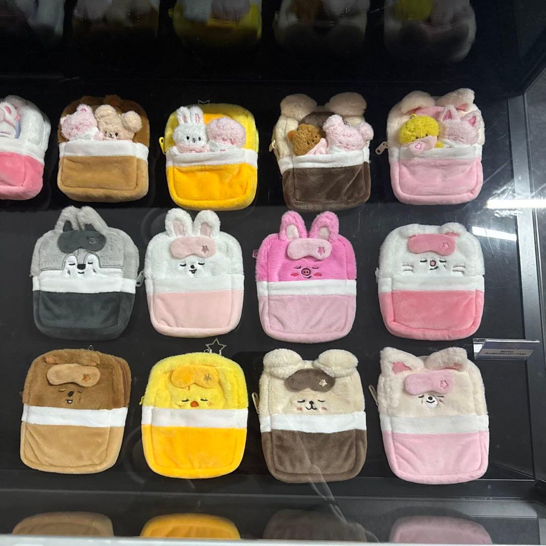 Skzoo STRAYKIDS 韓国 ペンミ コレクトケース バンチャン