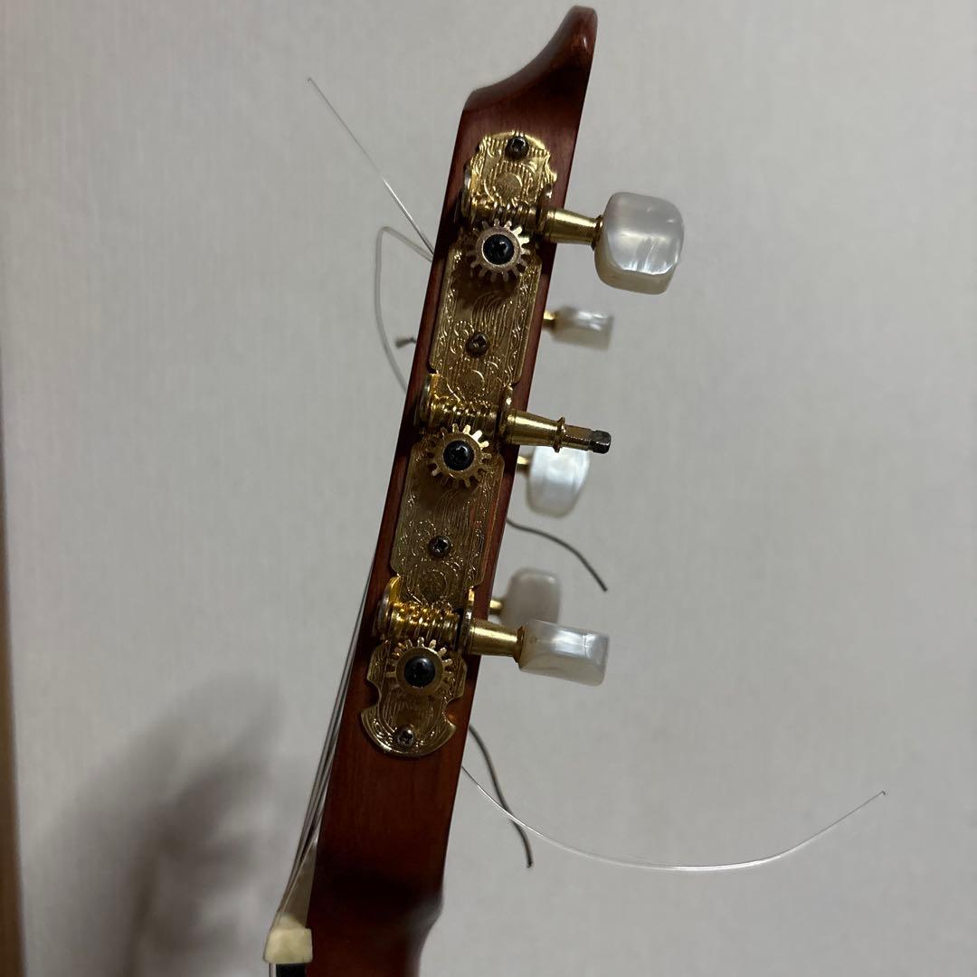 オベーション ギター　エレアコ CC253 ハードケース　アコースティック