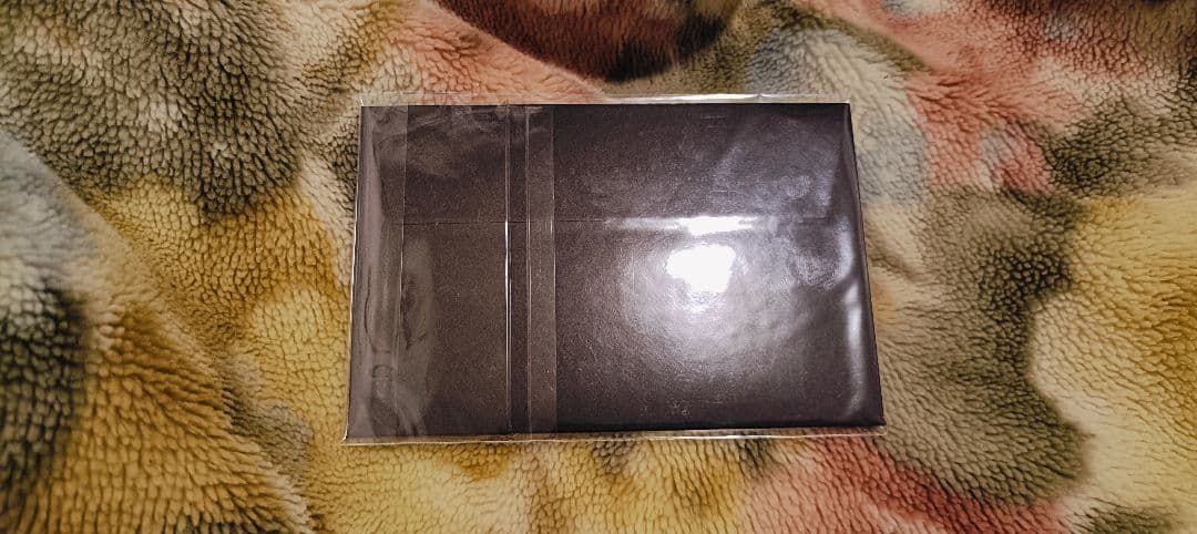 遊戯王ワールドチャンピオンシップ2025 WCS2025 プロモカード 黒封筒