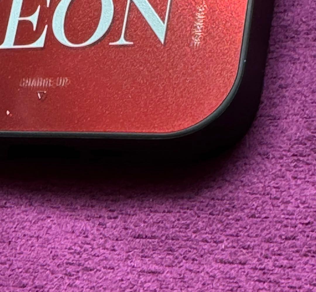 CASETiFY ケース　iPhone13 pro max