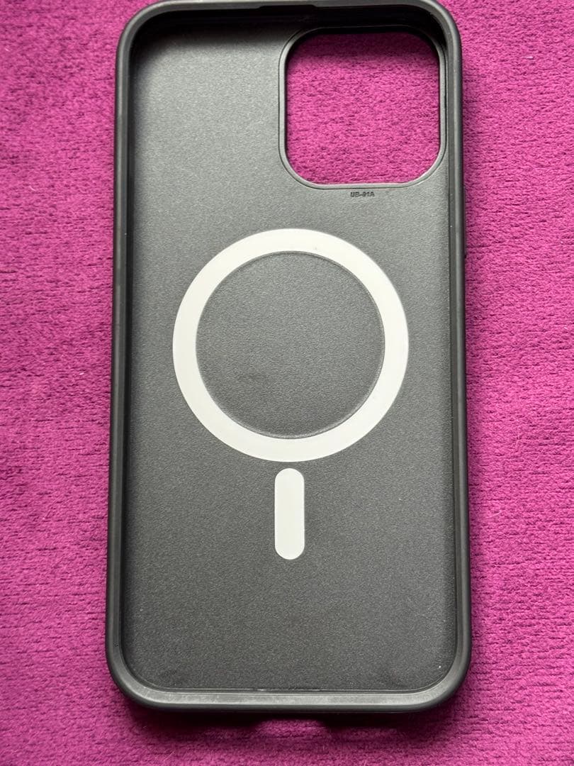 CASETiFY ケース　iPhone13 pro max