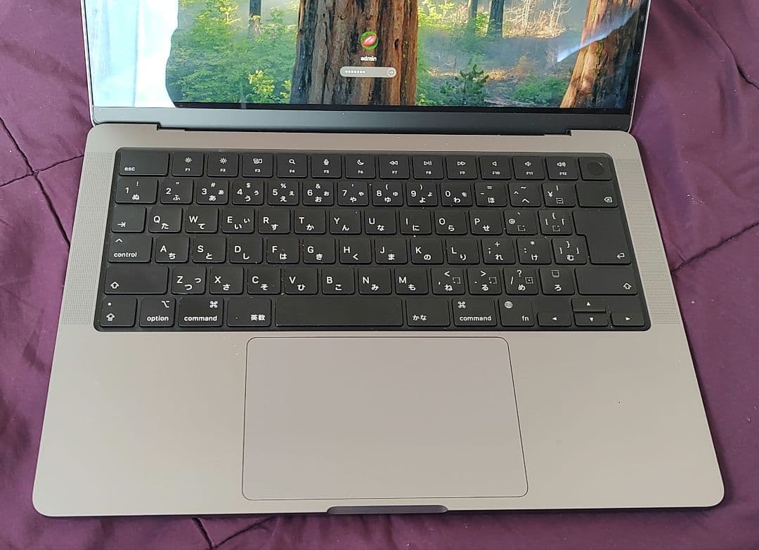 MacBook本体 Apple MacBook Pro M1 14inch