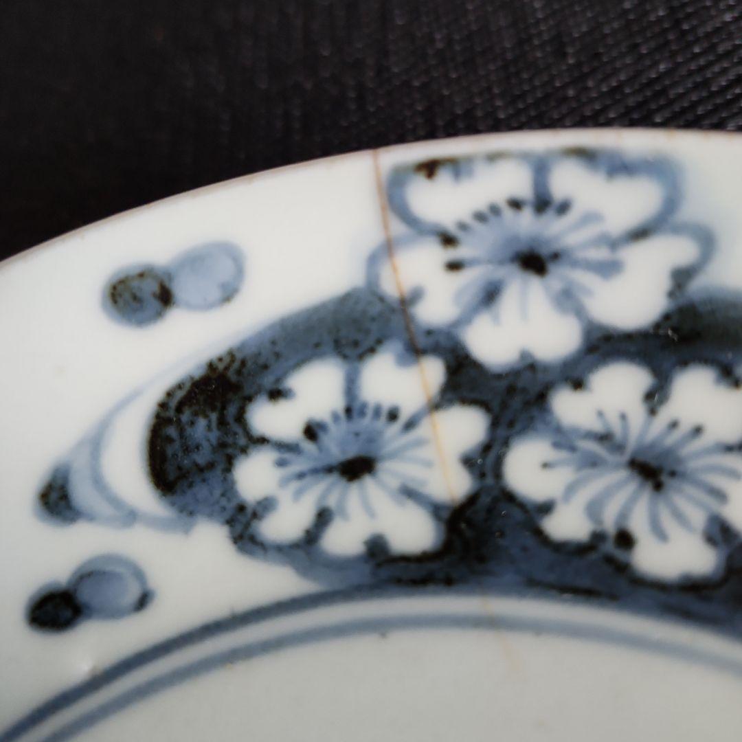 -02\x7　渦福　蛸唐草　波浪桜図