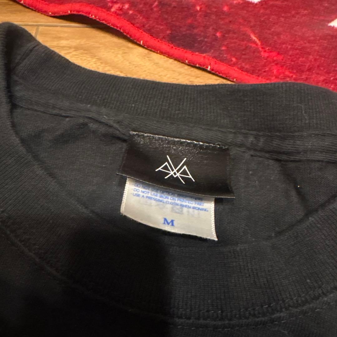 HAZUKIソロ葉月lynch.ぬいぐるみ　Tシャツ　タオル等