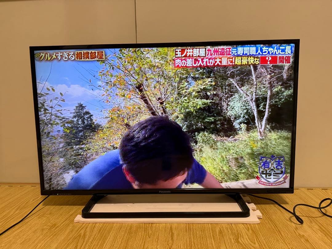 パナソニック　TH-39A305 39型⭕️ 地上 、BS/CS、液晶テレビ