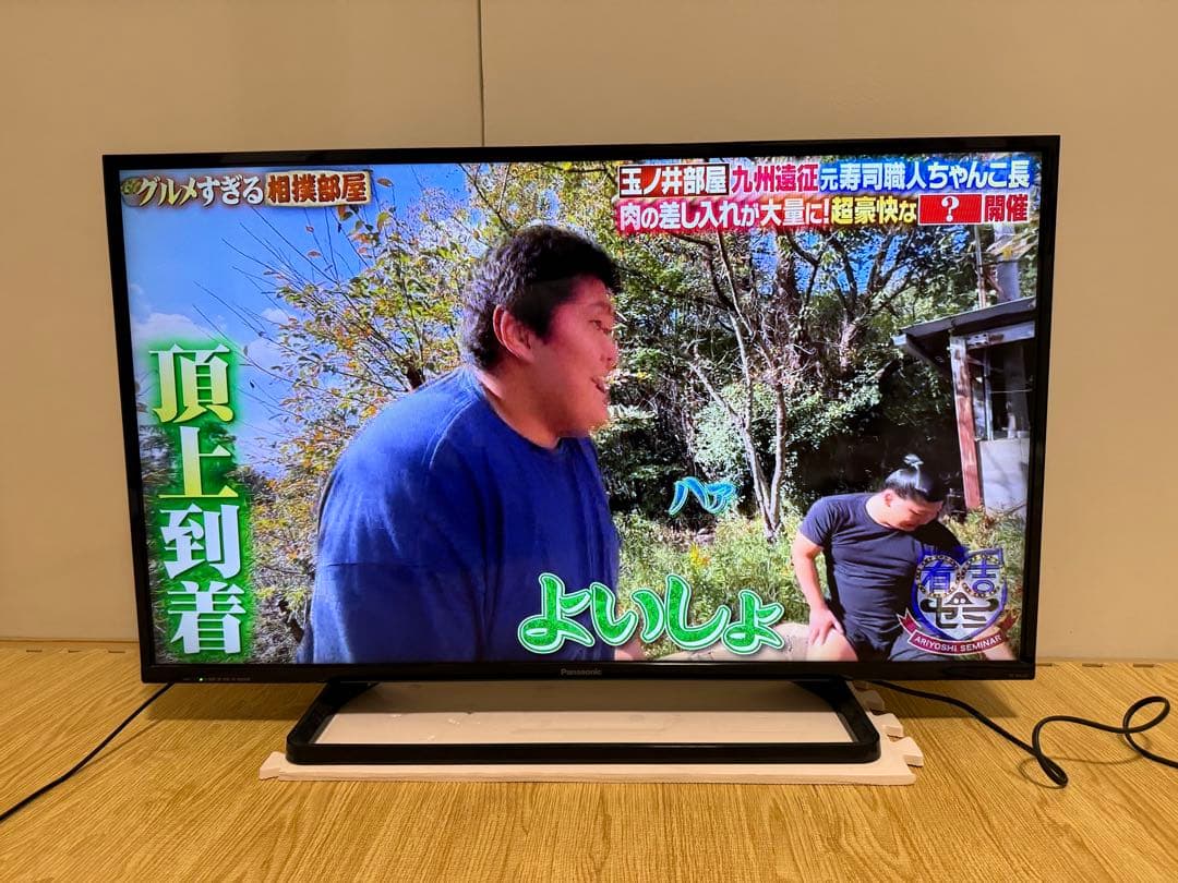パナソニック　TH-39A305 39型⭕️ 地上 、BS/CS、液晶テレビ