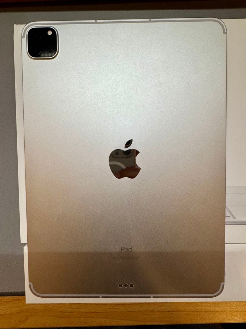 [訳アリ]iPad Pro M1 11”2TB Wi-Fi + Cellular