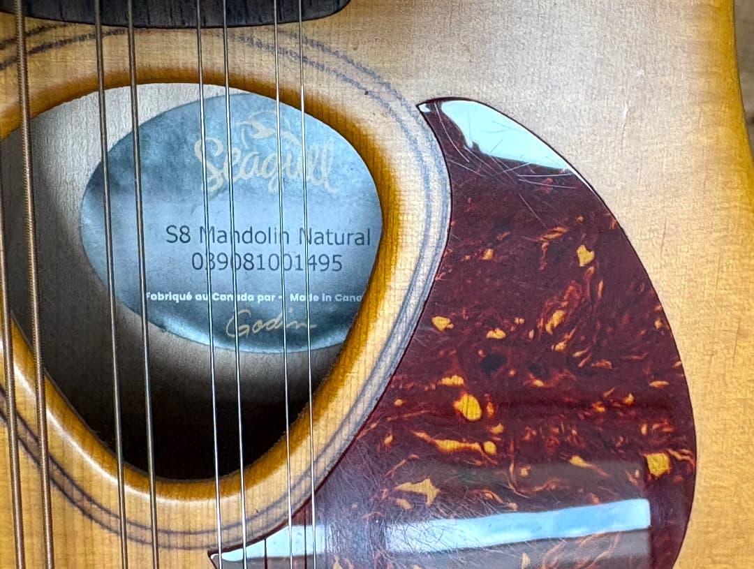 SeaGull S8 マンドリン　 Natural