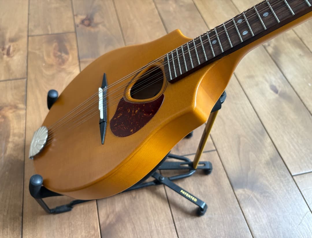 SeaGull S8 マンドリン　 Natural