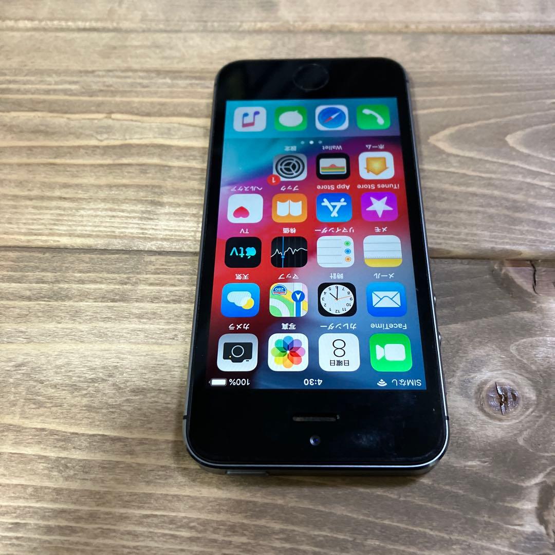 iPhone5s 16G バッテリー最大容量100% 充放電59回 使用頻度少