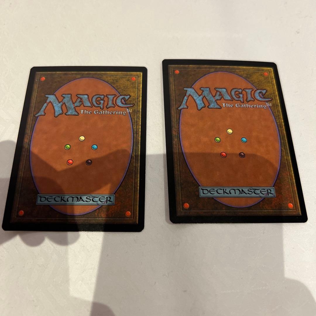 mtg APAC3平地/Plains Rebecca Guay 2枚セット