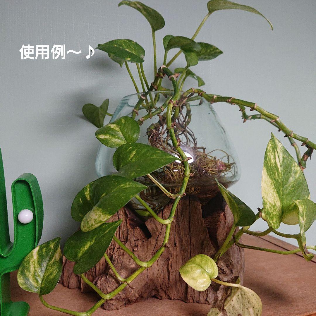 カフェ、喫茶店におすすめ！激レアハンドメイド花瓶ガラス木台セット金魚鉢水槽新品①