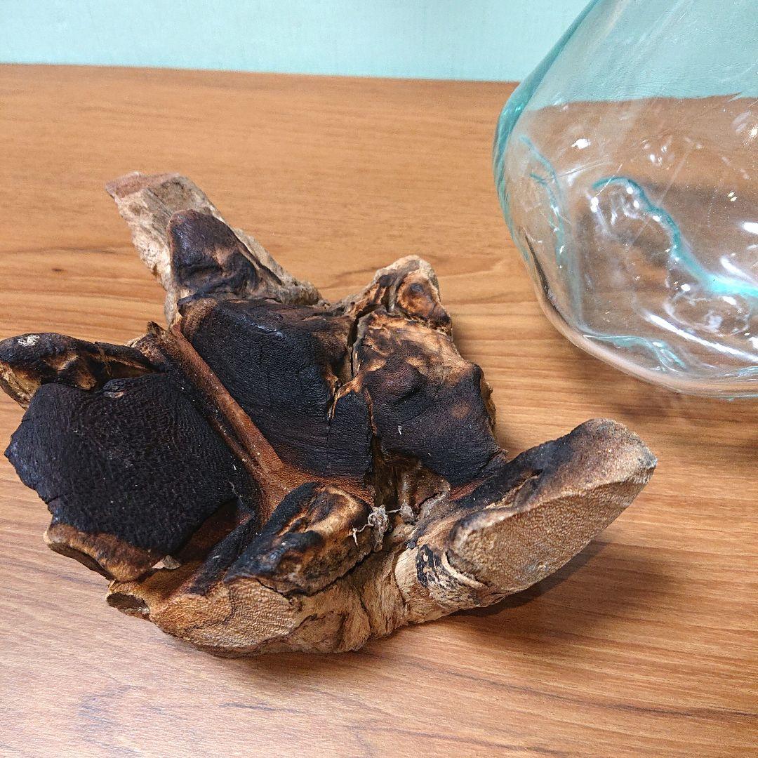 カフェ、喫茶店におすすめ！激レアハンドメイド花瓶ガラス木台セット金魚鉢水槽新品①