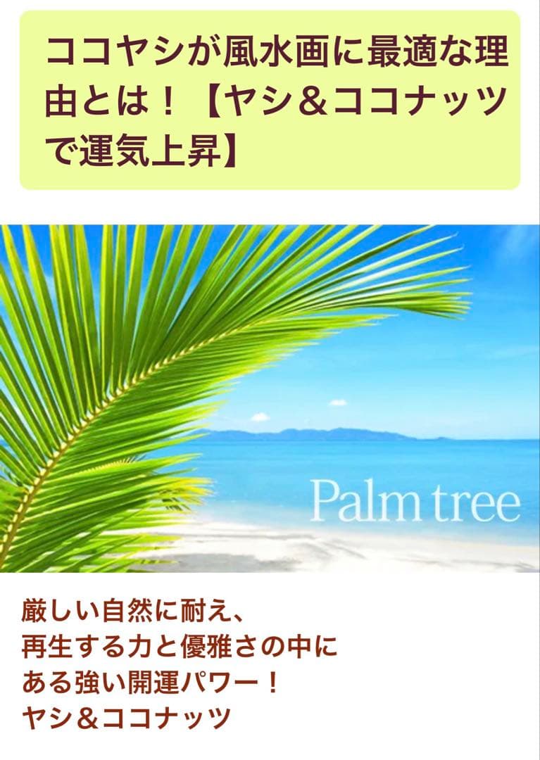 スピリチュアル　幸運のヤシの実　金運　子宝　健康運　開運　風水　入手困難