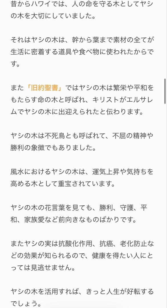スピリチュアル　幸運のヤシの実　金運　子宝　健康運　開運　風水　入手困難