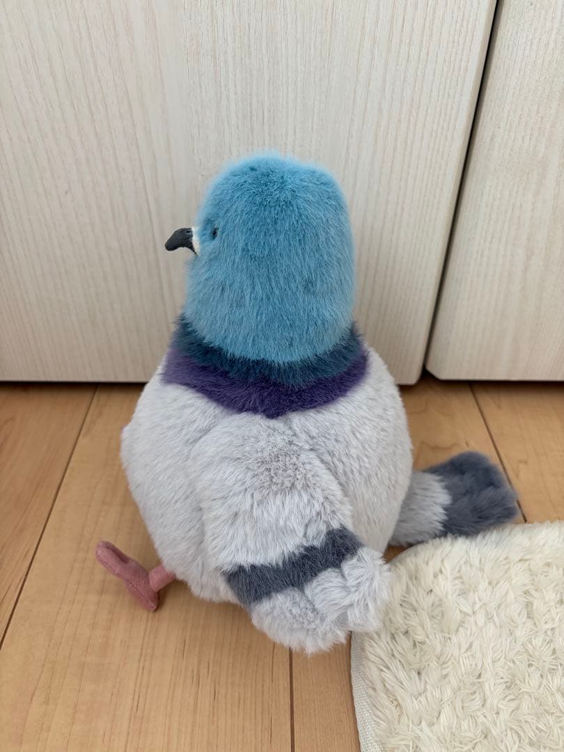  鳩 ジェリーキャット Strutton Pigeon