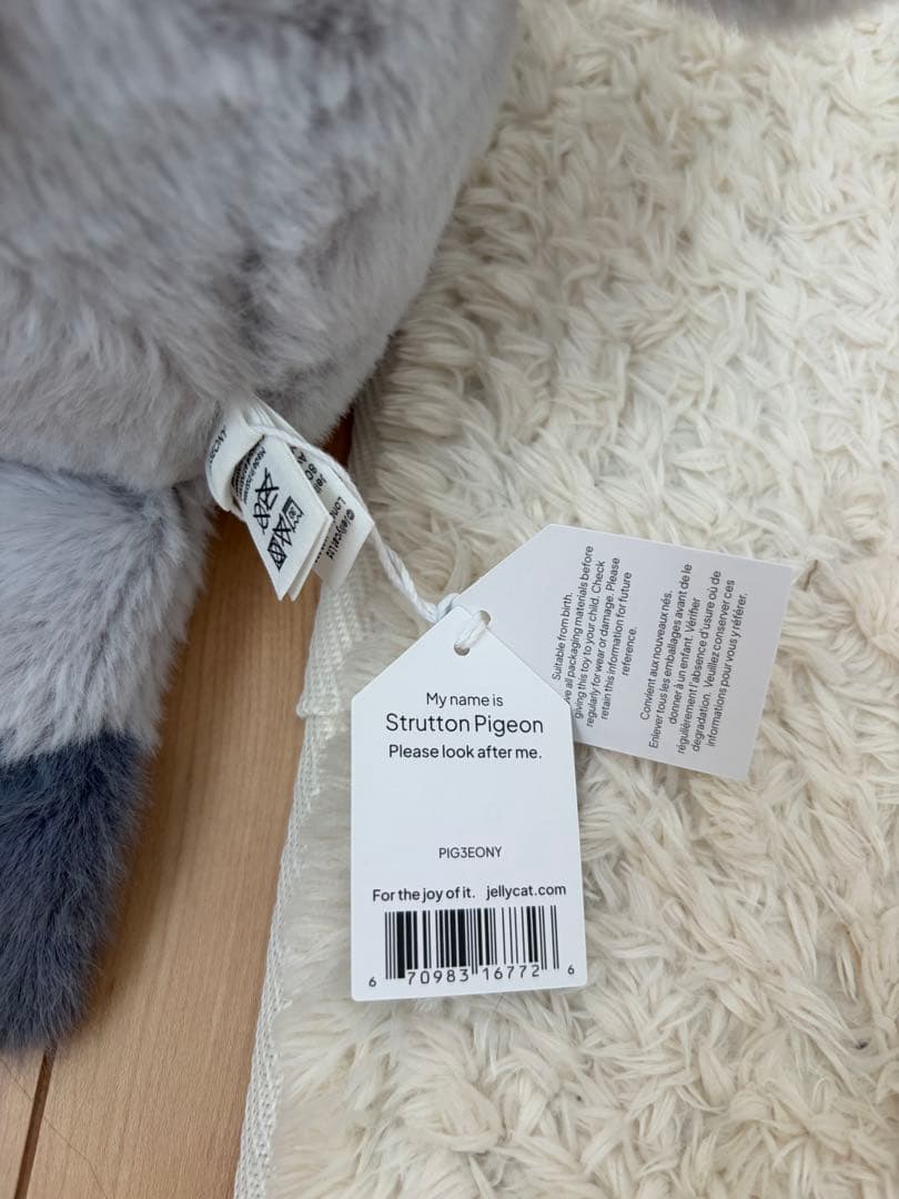  鳩 ジェリーキャット Strutton Pigeon