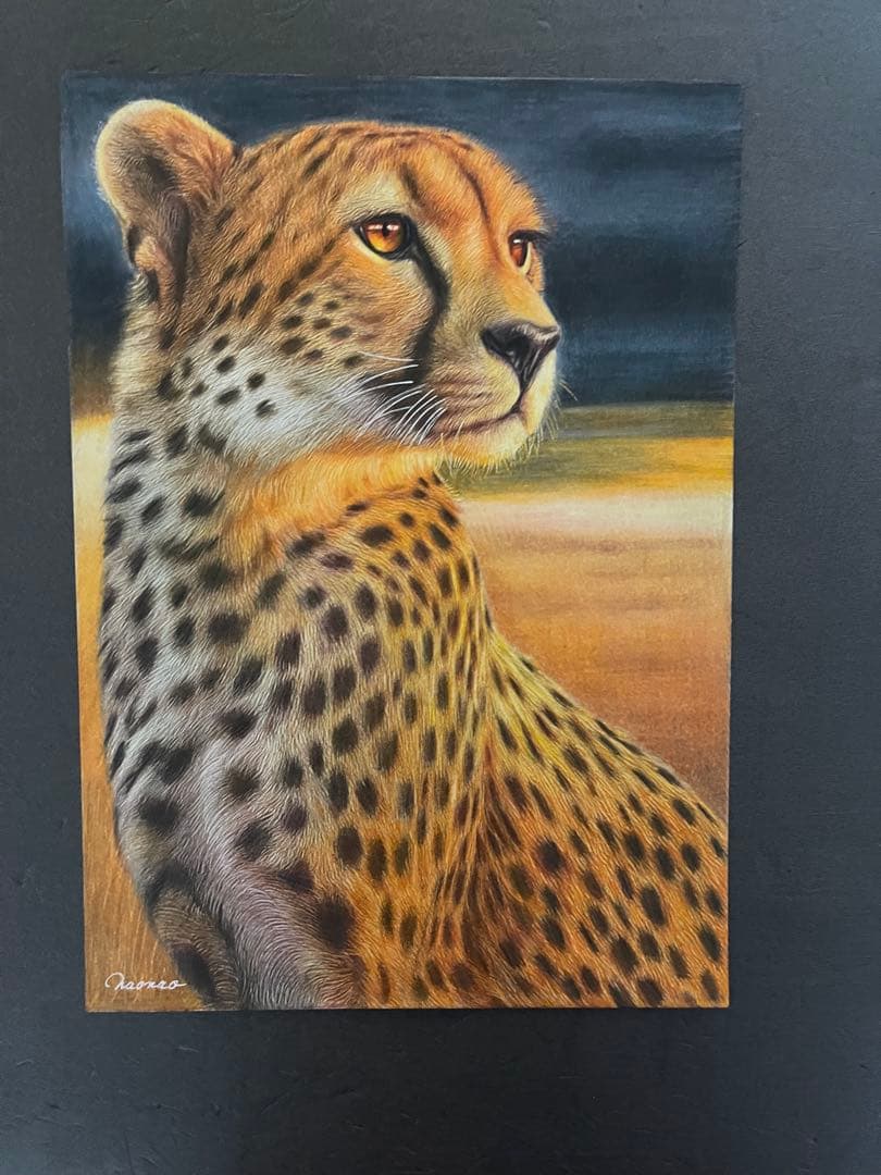 色鉛筆画A4 チーター.3