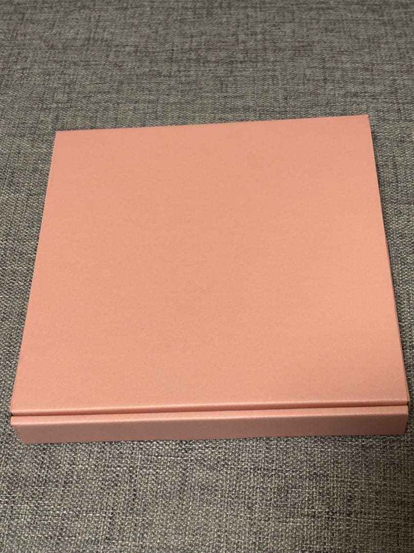 スヌーピータウン デイジーヒルパピーズ パーティー 限定400 プレート 皿