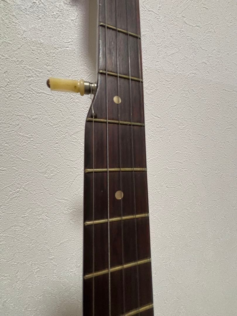 5弦バンジョー PIRLES FB-40