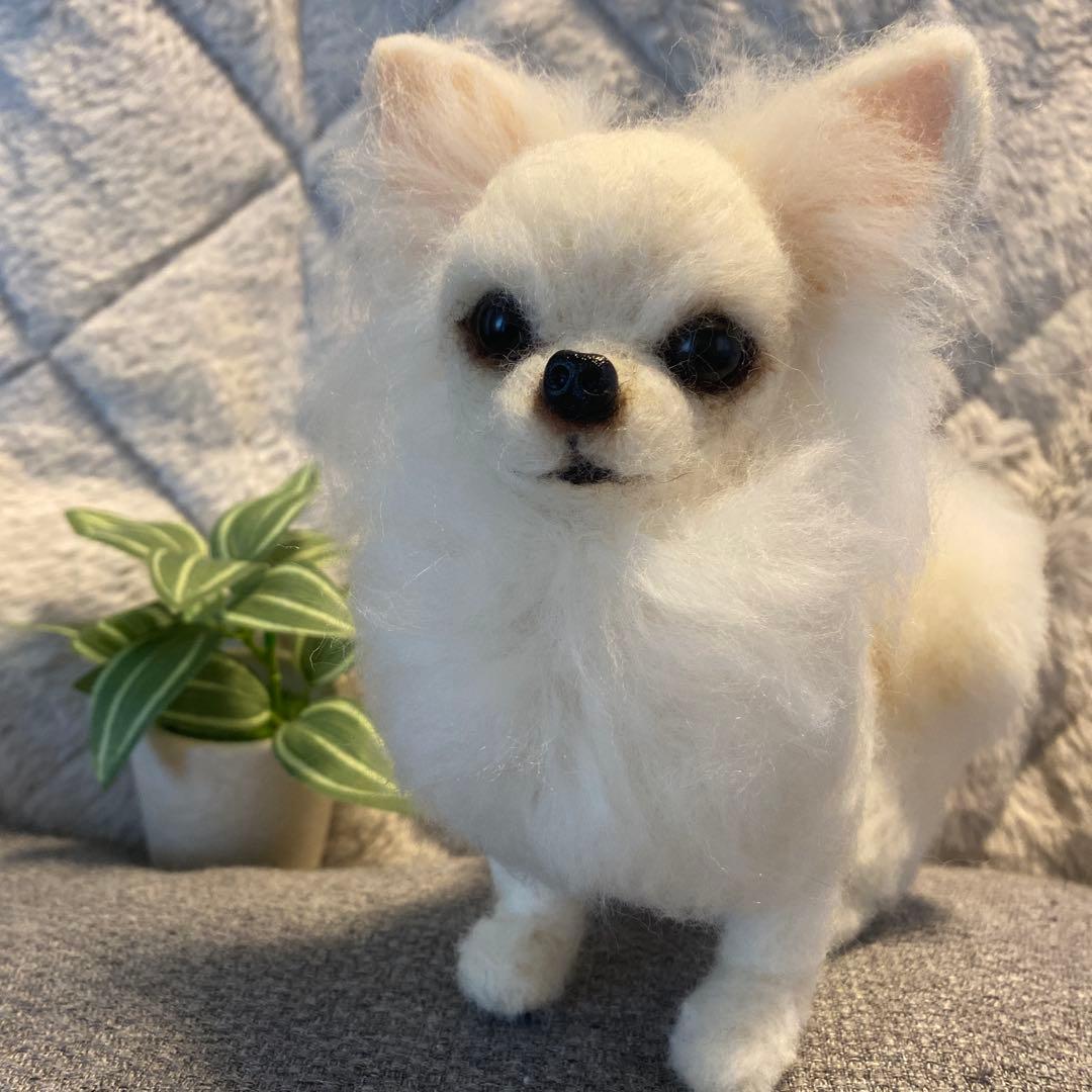 羊毛フェルト　チワワ　犬