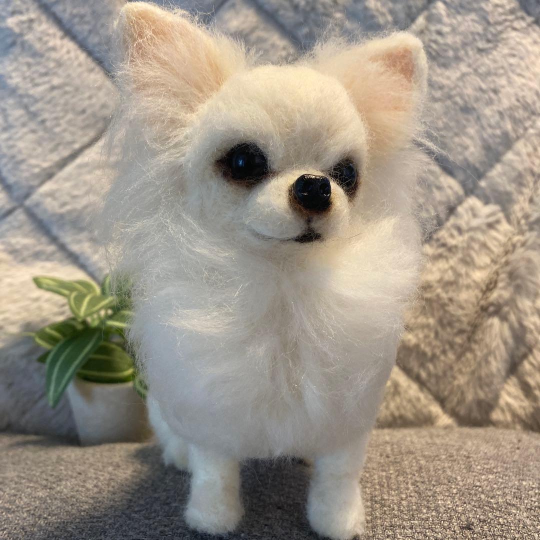 羊毛フェルト　チワワ　犬
