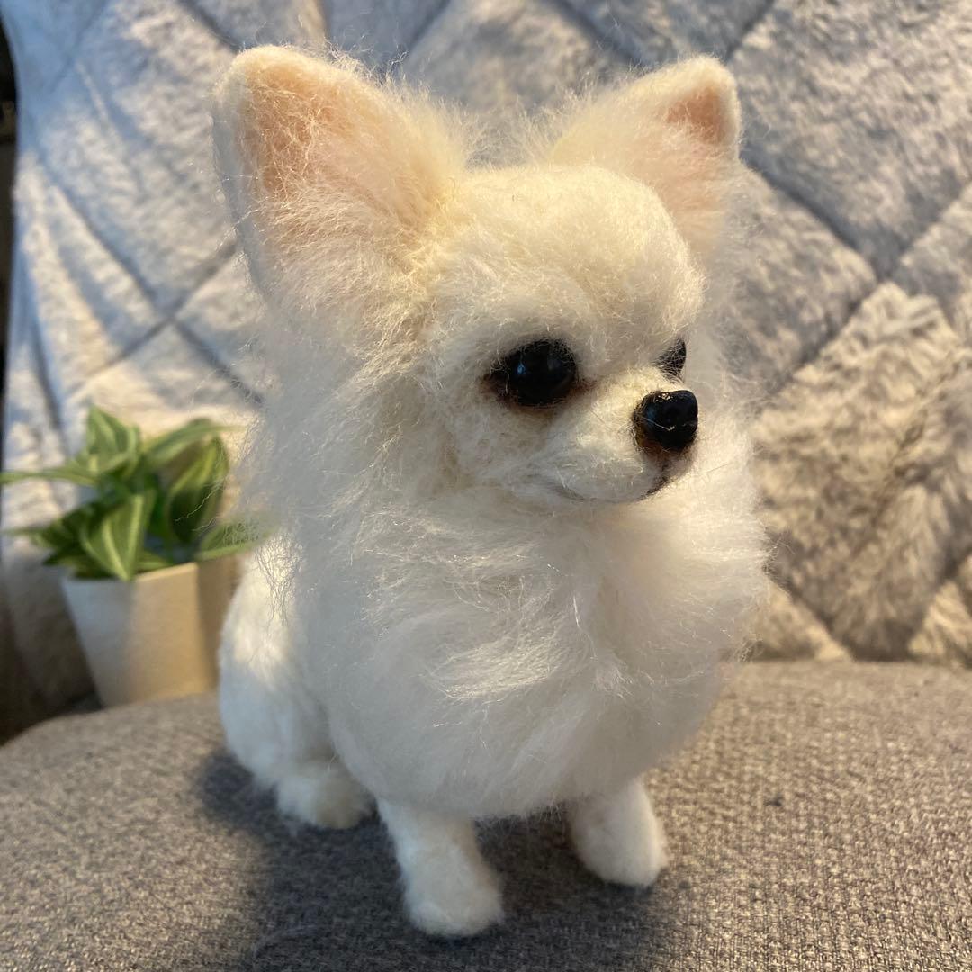 羊毛フェルト　チワワ　犬