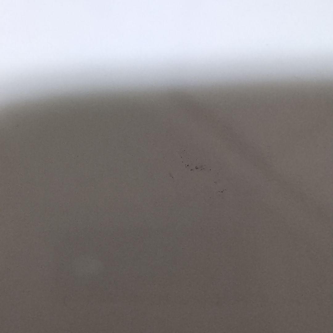 BUCK-TICK　パンフレット　愛の惑星　櫻井