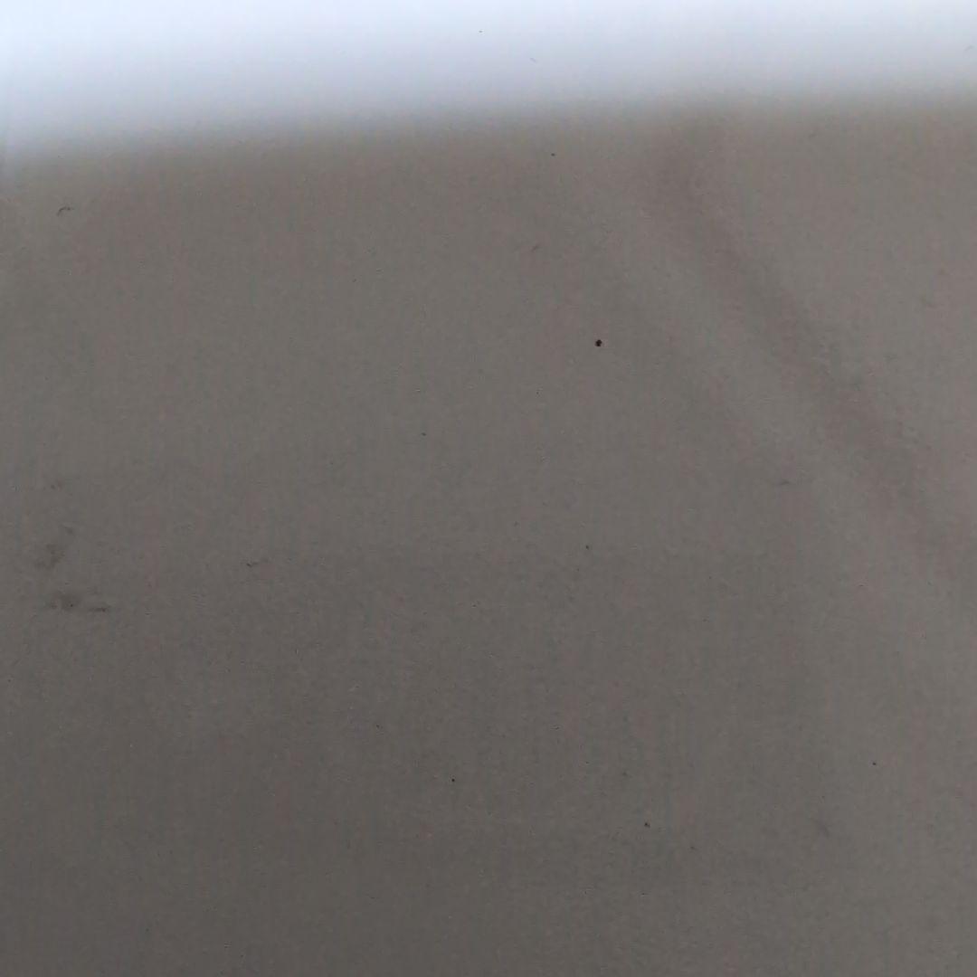 BUCK-TICK　パンフレット　愛の惑星　櫻井