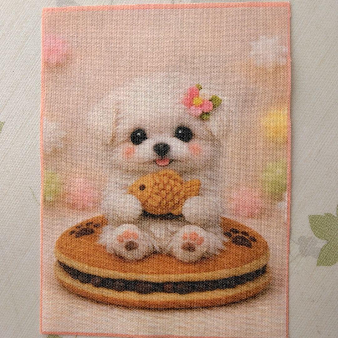 ☆受付☆マルチーズ・ミニサイズ