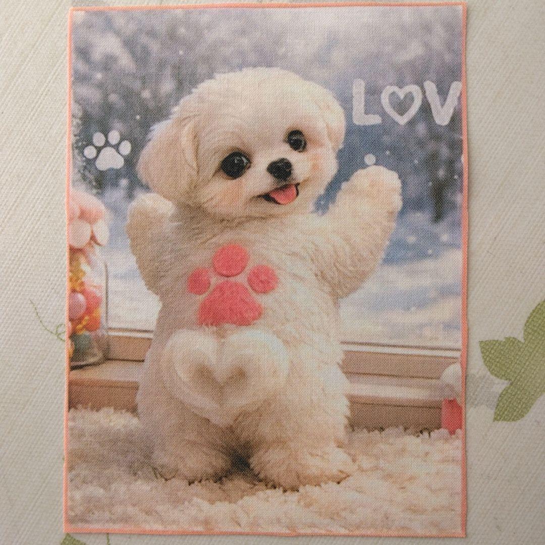 ☆受付☆マルチーズ・ミニサイズ