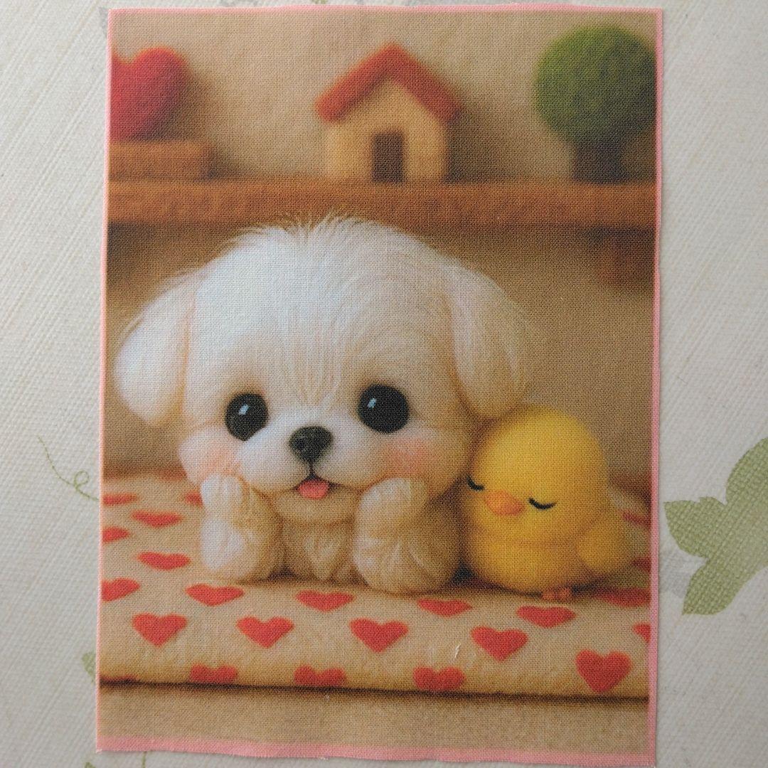 ☆受付☆マルチーズ・ミニサイズ