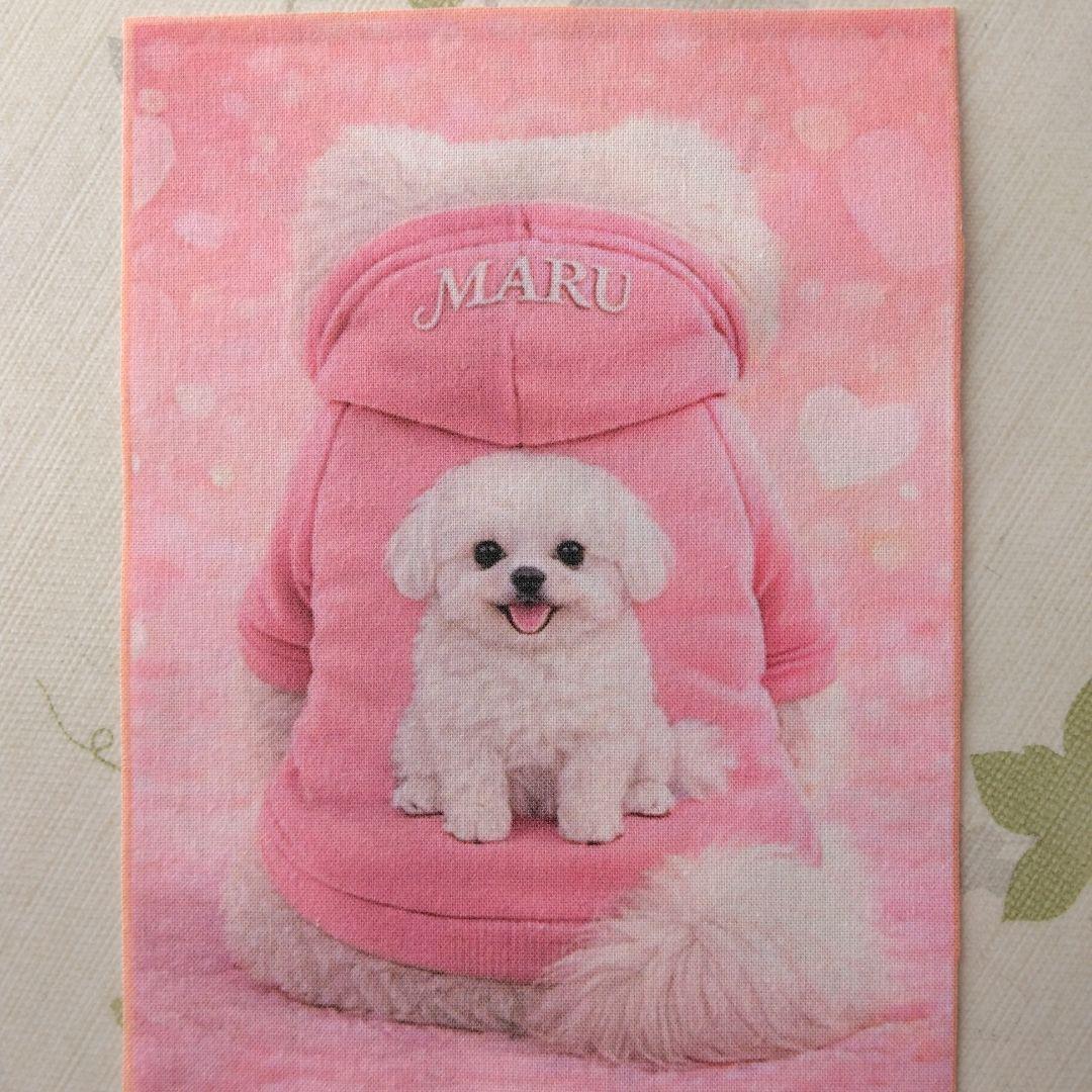 ☆受付☆マルチーズ・ミニサイズ