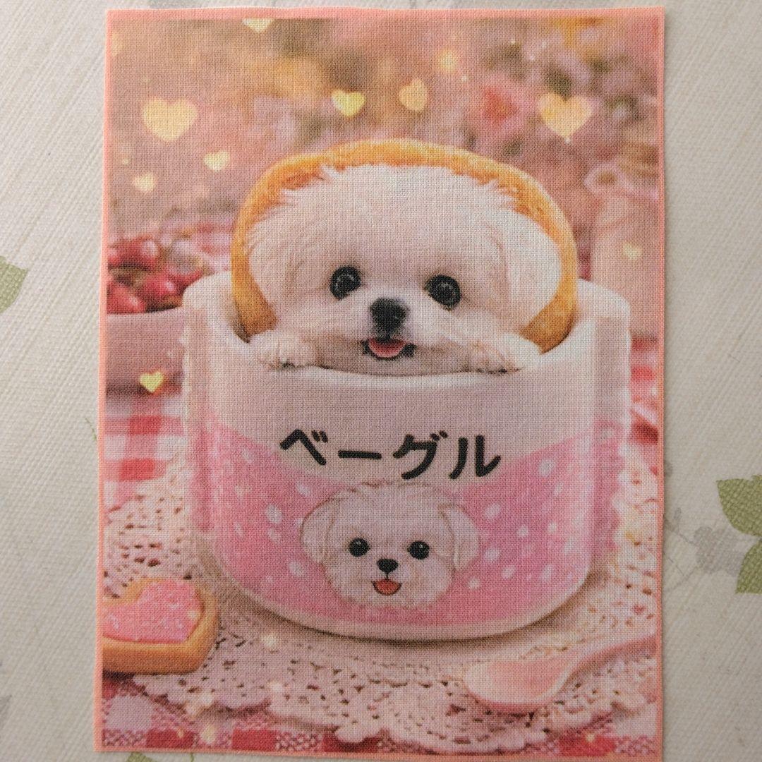 ☆受付☆マルチーズ・ミニサイズ