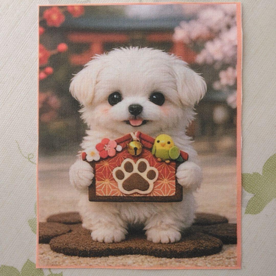 ☆受付☆マルチーズ・ミニサイズ