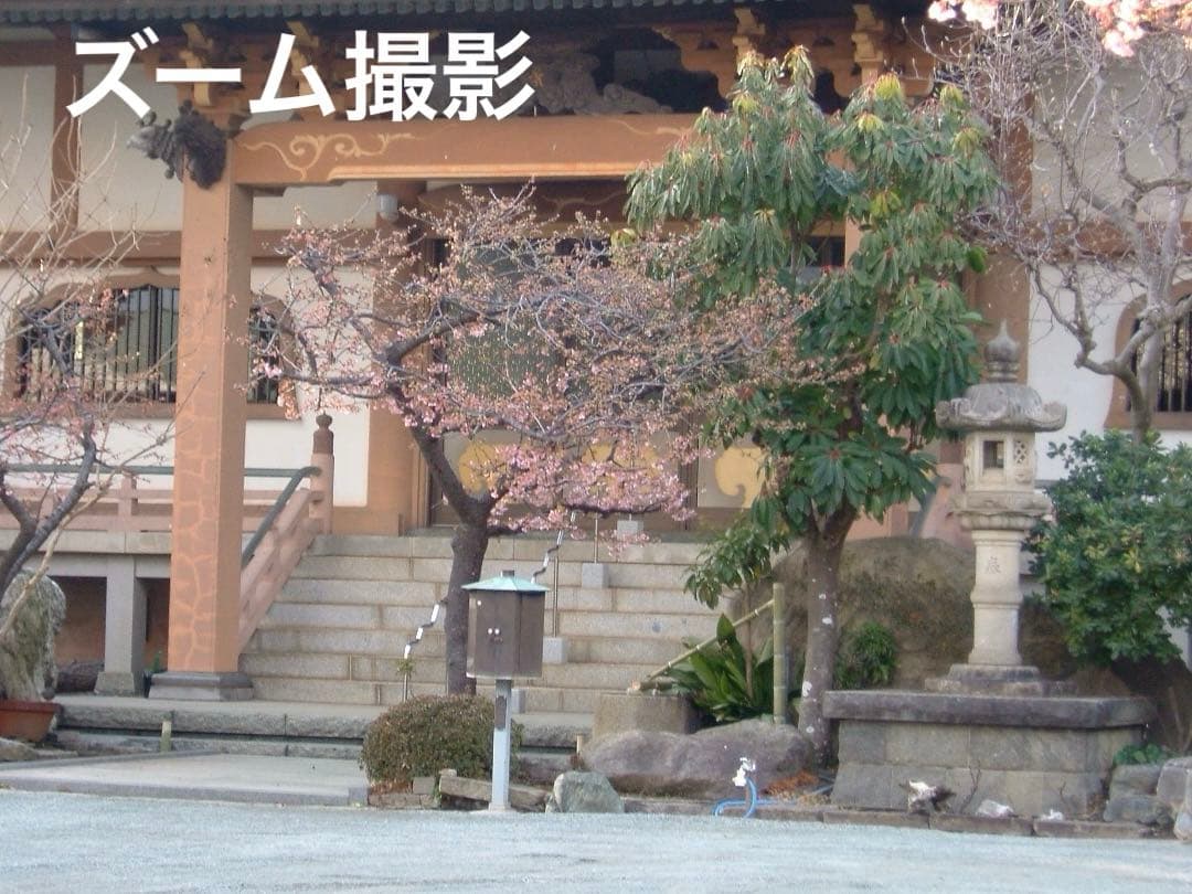 実写美⭕️やや訳あり【動作確認済み】Fujifilm FinePix F710